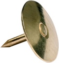 S 100 PUNAISES KOPERKLEURIG 1