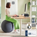 Leitz Ergo Actieve Zitbal 65 cm Anti-rol donkergrijs