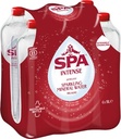 SPA INTENSE FLES 1L PK6