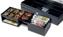 SAFESCAN KASSALADE SD-4617S