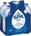 SPA REINE WATER FLES 1L PK6