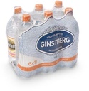 GINSTBERG BRUISWATER 1L PK6