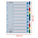 VERDEELKAARTEN KUNSTSTOF A4 (10 (2))