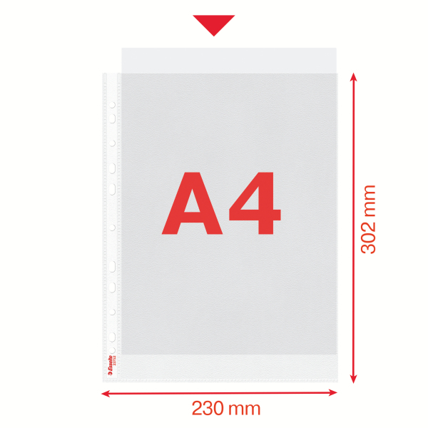 100 TAS PP GESTRUCT. A4,ALG.PERF.