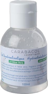 HANDGEL HYDROALCOHOLISCH 100ML