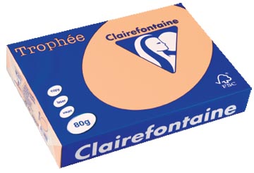 A4 TROPHEE (80GR, ZALM, 500)