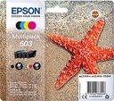EPSON 603 MULTIPACK XP2100