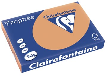KARAMEL 250VEL A3 160GR CLAIREFONTAINE