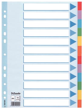 VERDEELKAARTEN KART. A4 12 TABS/VOORBLAD