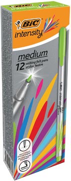 FINELINER INTENSITY M LGRN