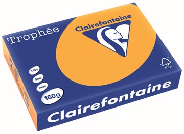 A4 TROPHEE (160GR, ORANJE, 250)