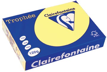 A4 TROPHEE (120GR, CITROENGEEL, 250)