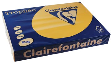 [E*1255] TROPHEE A3 (80GR, GOUDGROEN, 500)