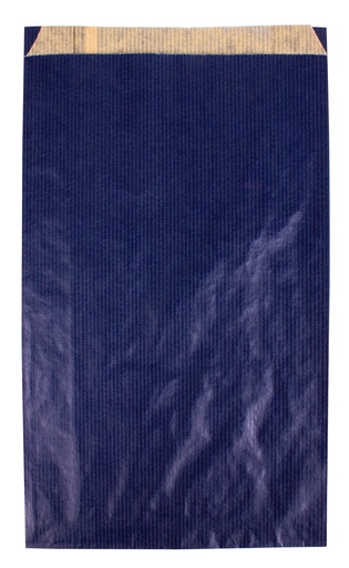 [101653] ZAKJES/ZIJV. 250 STUKS (12X4X21CM, BLAUW)